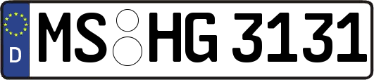 MS-HG3131