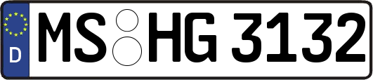 MS-HG3132