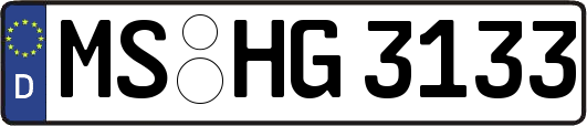 MS-HG3133