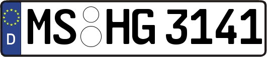 MS-HG3141
