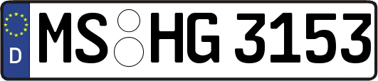 MS-HG3153