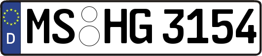 MS-HG3154