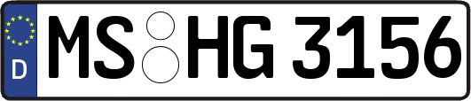 MS-HG3156