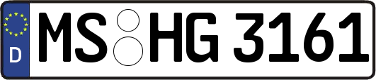 MS-HG3161