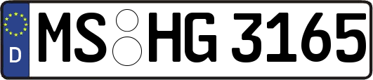MS-HG3165