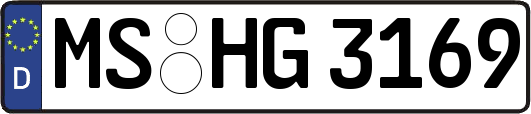 MS-HG3169