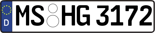 MS-HG3172