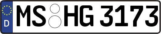 MS-HG3173