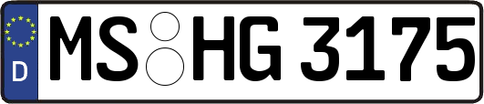 MS-HG3175