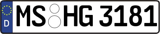 MS-HG3181