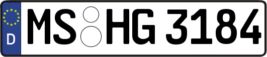 MS-HG3184