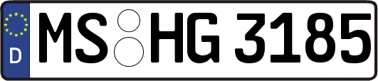 MS-HG3185