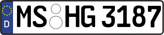 MS-HG3187