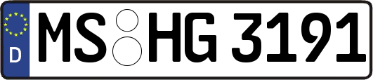 MS-HG3191