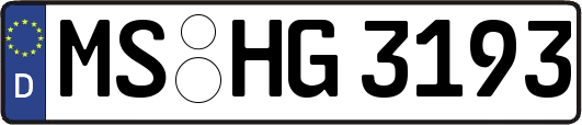 MS-HG3193