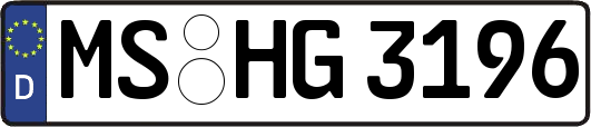 MS-HG3196