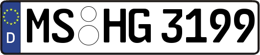 MS-HG3199