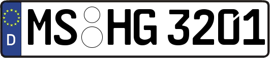 MS-HG3201