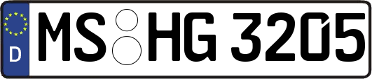 MS-HG3205