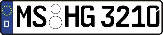 MS-HG3210