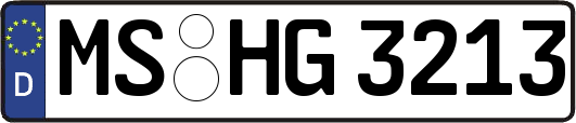 MS-HG3213