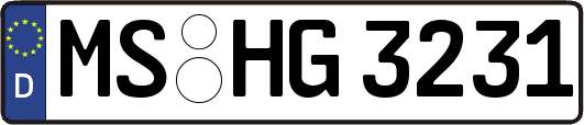 MS-HG3231