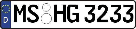 MS-HG3233