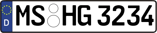 MS-HG3234