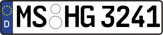 MS-HG3241