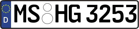 MS-HG3253