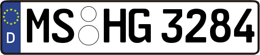 MS-HG3284