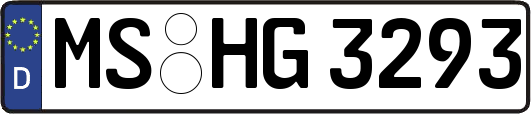 MS-HG3293
