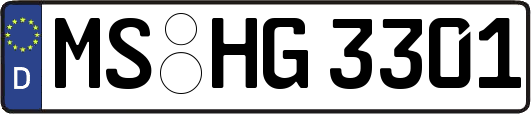 MS-HG3301