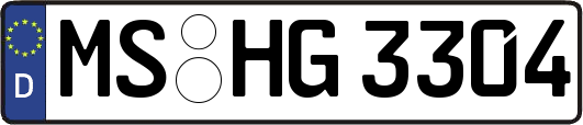 MS-HG3304