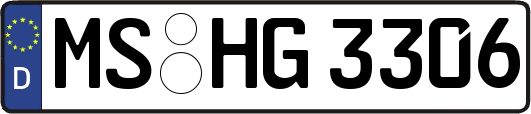 MS-HG3306