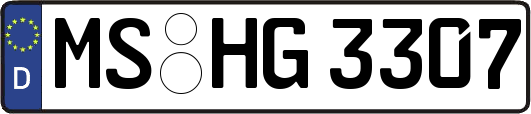 MS-HG3307