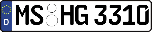 MS-HG3310