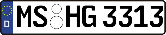 MS-HG3313
