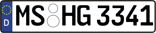 MS-HG3341
