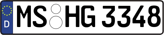 MS-HG3348