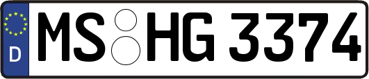 MS-HG3374