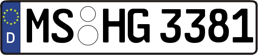 MS-HG3381