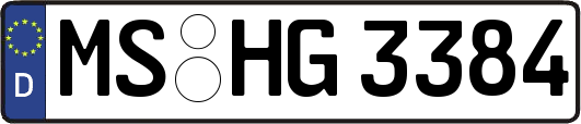MS-HG3384
