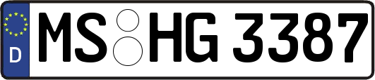 MS-HG3387
