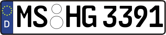 MS-HG3391
