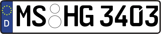 MS-HG3403