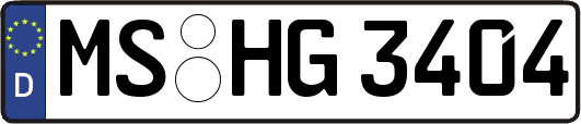MS-HG3404