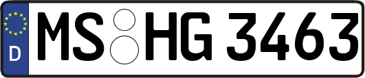 MS-HG3463