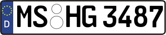 MS-HG3487