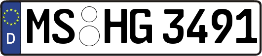 MS-HG3491
